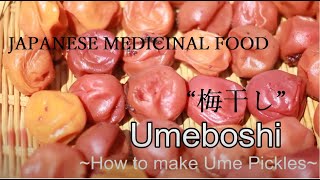 How to Make Umeboshi at Home [upl. by Elyssa721]