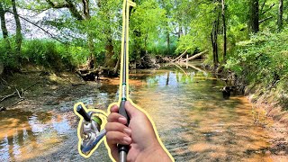 Bluegill Fishing in Tiny Creek New Lures [upl. by Bale]