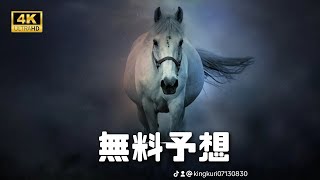 土曜日中央競馬無料予想❗ [upl. by Llerot781]