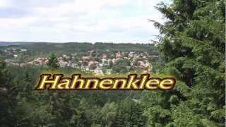 Hahnenklee Sommerrodelbahn [upl. by Aitercal]