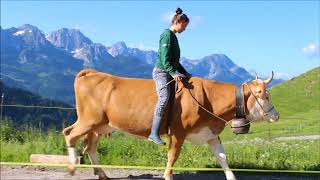 Kuhreiten in Gstaad [upl. by Benildas222]