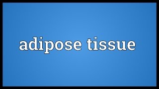 Adipose tissue Meaning [upl. by Nairbo]