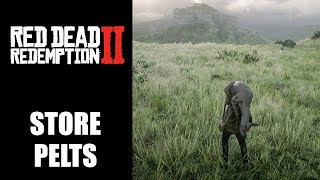 Red Dead Redemption 2 how to store pelts  Where to put animal skins [upl. by Elazaro91]