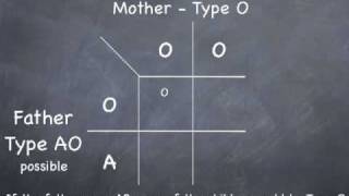 Punnett Square to determine possible blood types [upl. by Alverson]