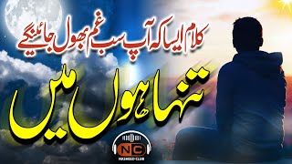 Heart Touching Nasheed  Tanha Hun Mein  Atiq Ur Rehman  Nasheed Club [upl. by Ackler]