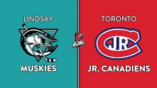 OJHL Highlights  Lindsay Muskies VS Toronto Jr Canadiens  September 8 2024 [upl. by Crifasi]