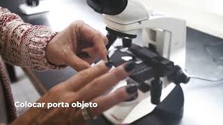 Partes y uso del microscopio óptico  Cálculo de aumento y poder de resolución  Ley de Abbe [upl. by Aihsas572]