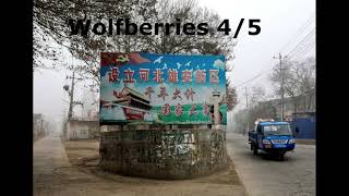 “Wolfberries”quotGoji Berriesquot 45 by Bi Feiyu Learn Chinese Linguistics and LiteratureFiction [upl. by Egap]