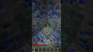 Coal Iron Gold Lapis Diamond Emerald Minecraft meme  Bestatgamerz minecraft minecraft [upl. by Haisa]