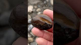 ✅Volcanic concretion ash stone sedimentary type crystals geology agate rockhounding rocks new [upl. by Adnovaj]