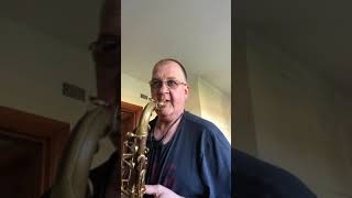 Just Learning Saxophone She’s Like the Wind  Yanagisawa AWO20 [upl. by Akselaw]