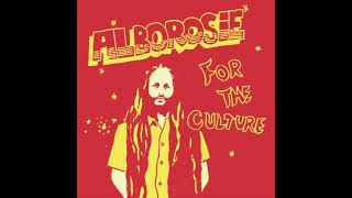 Alborosie  For The Culture Official Audio [upl. by Cleopatra]