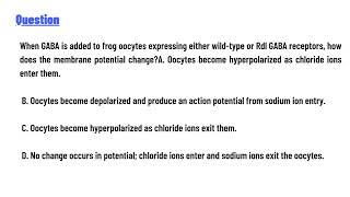 quotWhen GABA is added to frog oocytes expressing either wildtype or Rdl GABA receptors [upl. by Dorehs]