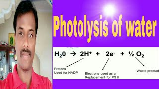 Photolysis of water Hill reaction [upl. by Clower]