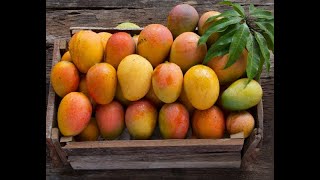 Fresh Mangos from the Fairchild Farm [upl. by Caneghem]