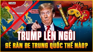 Trung Quốc là NƯỚC RẮN MẶT NHẤT đang BÀNH TRƯỚNG BIỂN ĐÔNG Trump răn đe thế nào  AP Discover [upl. by Nelluc]