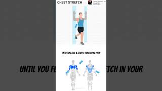 CHEST STRETCH fitness workout fullbodyworkout homeworkout execrise fit shorts gym [upl. by Cross918]