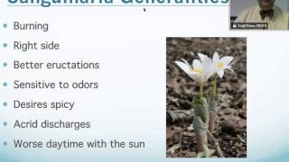 Sanguinaria Canadensis Homeopathic Medicine Tips For Beginners [upl. by Aliban]