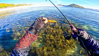 JT Sintak Minnow 8grams Napalaban sa Kagatan  Catch and Cook [upl. by Hedgcock]