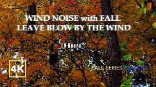 Wind Sound with Fall Leaves Blow by The Winds  10 Hour video Fall Series Season 1 [upl. by Mulderig]