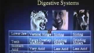 Food That Kills with Dr Michael Klaper  1993  Full Documentary  Lecture  Testimony [upl. by Afra]