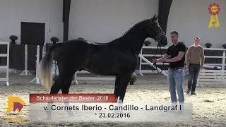 37 Cornets Iberio  Candillo [upl. by Thibaut]