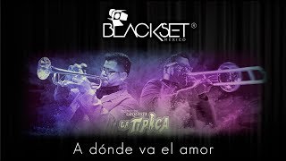 A dónde va el amor  Orquesta La Típica en Blackset México ® [upl. by Essined]