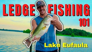 LEDGE FISHING 101 Catching HUGE BASS on LAKE EUFAULA Big Crankbaits Carolina Rigs and MORE [upl. by Pryor]