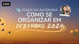 COMO SE ORGANIZAR EM DEZEMBRO 2024  Guia Mensal [upl. by Nyluqcaj99]