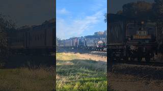 Heritage Steam Locomotives powering along the North East Line from Congupna amp Tallygaroopna train [upl. by Ardna315]