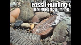 Fern Fossil Hunting Mazon Creek Rock hounding Braidwood Illinois Mazonia [upl. by Nagar]