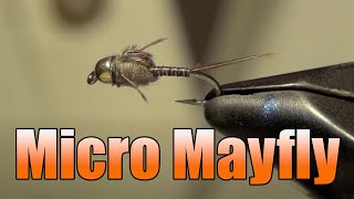 Micro Mayfly Fly Tying  Mike Mercer Fly Pattern [upl. by Isadore]