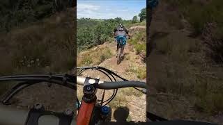 shorts 291  VTT MTB DH ENDURO RIDING [upl. by Paige]