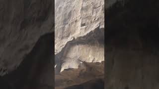 Ajanta cavesAjanta Ellorashortvideo [upl. by Eceertal]