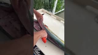 Mahi Mahi Fish Cutting The Secrets to Perfect Fillets knifeskills chefknife fishing [upl. by Waiter22]