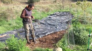 Permacultura mejorando el suelo mediante abonos verdes y sin labrar [upl. by Drusus]