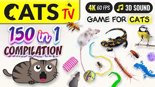 CAT TV  150 in 1 Ultimate Compilation 🙀🐭🐝 Game for cats 🕚 10 HOURS 4K [upl. by Dustin]