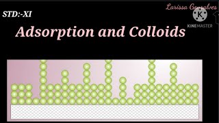 StdXI chemistry Adsorptionandcolloids [upl. by Laidlaw483]