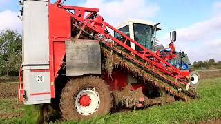 dewulf ZKII mit New Holland T 7230 Gespann in den Möhren [upl. by Etteloc99]