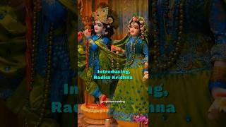 Chanakya  introducing radha krishna ❤️😍  sitar for mental health  sitar  Rishabsmusic sitar [upl. by Egrog714]