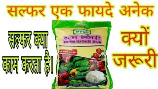 किसान भाई समझे सल्फर का महत्व  Sulphur क्यों है जरूरी तत्व हैं । किस काम मे आता है [upl. by Quackenbush]