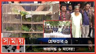 বগুড়ায় ৩১৪টি বন্য পাখি উদ্ধার করে অবমুক্ত  Wild Bird Trade in Bogura  Bird Rescue  Somoy TV [upl. by Sivehc]