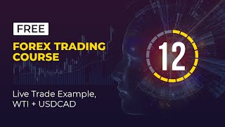 The Best Forex Trading for Beginners Course  Lesson 12 Live Trade Examples WTI amp USDCAD [upl. by Siraval]