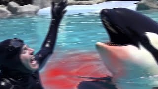 Orca Trainer Gets EATEN ALIVE During Show [upl. by Anahahs]