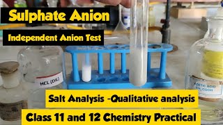 Analysis of Sulphate Anion  Salt Analysis  Class 12  Chemistry  NCERT  CBSE  Practical [upl. by Ede]