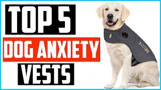 Top 5 Best Dog Anxiety Vests in 2024 [upl. by Enar122]