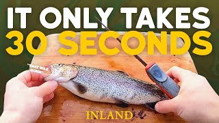 Our Favorite Way to Fillet a Trout 30 Seconds  Kyle Veit  Inland Outdoors trout fillet [upl. by Adlev]