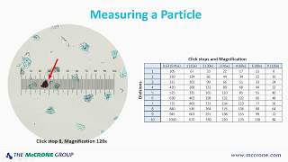 How to Calibrate Your Microscope [upl. by Stearne]