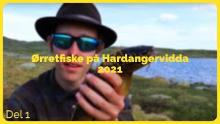 Del 1 Halne  Skaupa  Fisketur  Hardangervidda 2021 [upl. by Killy788]