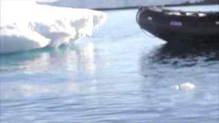 Leopard seal attacks boat [upl. by Ardnasxela]